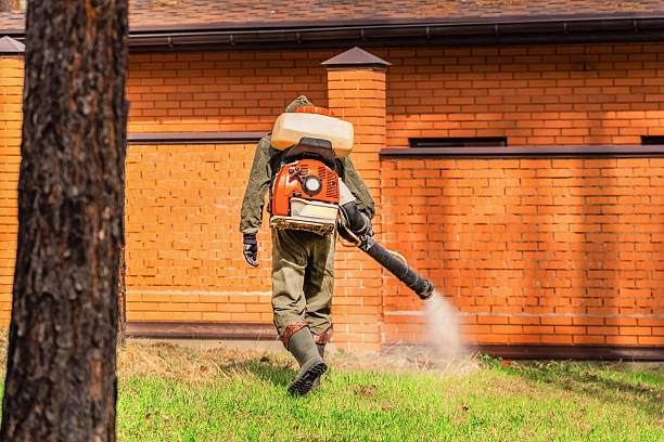 Top rated local Ant Control specialists in High Bridge, NJ